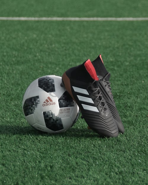 News 6
