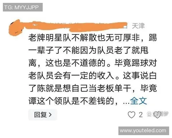 谭咏麟足球明星队实力分析与球迷评价探讨