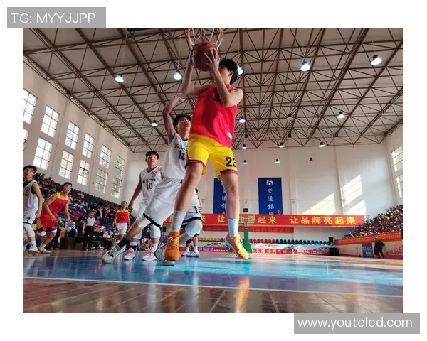 篮球明星在篮球场上的精彩瞬间与不为人知的奋斗历程揭秘